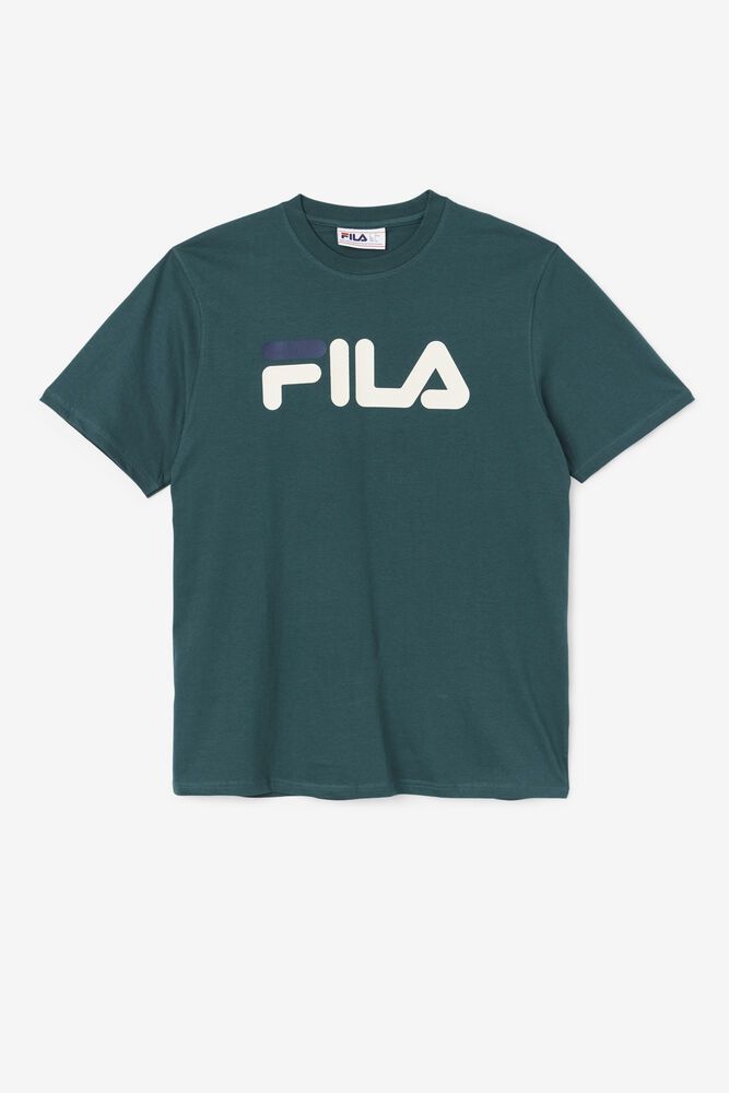 Tricou Fila Barbati Verzi Eagle VAWO-31462